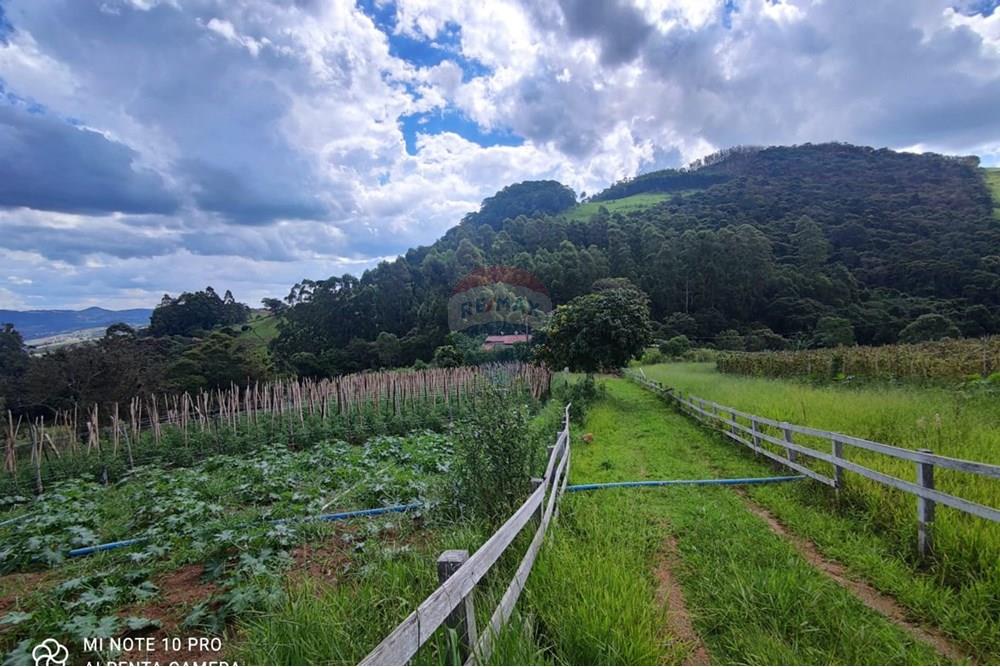 Chácara / Sítio / Fazenda - Venda - Toledo , Minas Gerais - WhatsApp Image 2025-02-28 at 19.59.29 (2).jpeg - 630251077-56