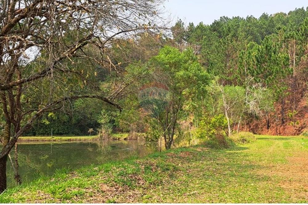 Chácara / Sítio / Fazenda - Venda - Araçariguama , São Paulo - IMG-20240913-WA0050.jpg - 631601010-7