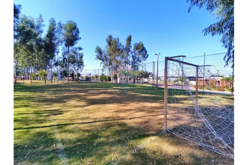 Terreno - Venda - Araçatuba , São Paulo - 1719422347503-01.jpeg - 630851059-65