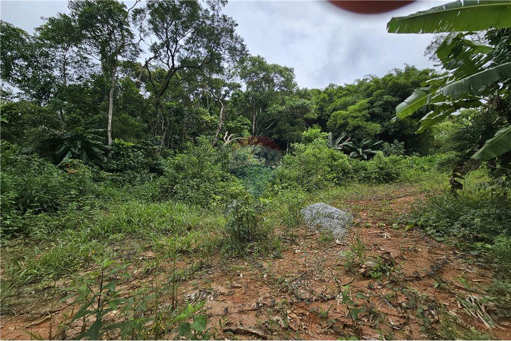 Terreno - Venda - Nova Friburgo , Rio de Janeiro - 29 - 630551016-143