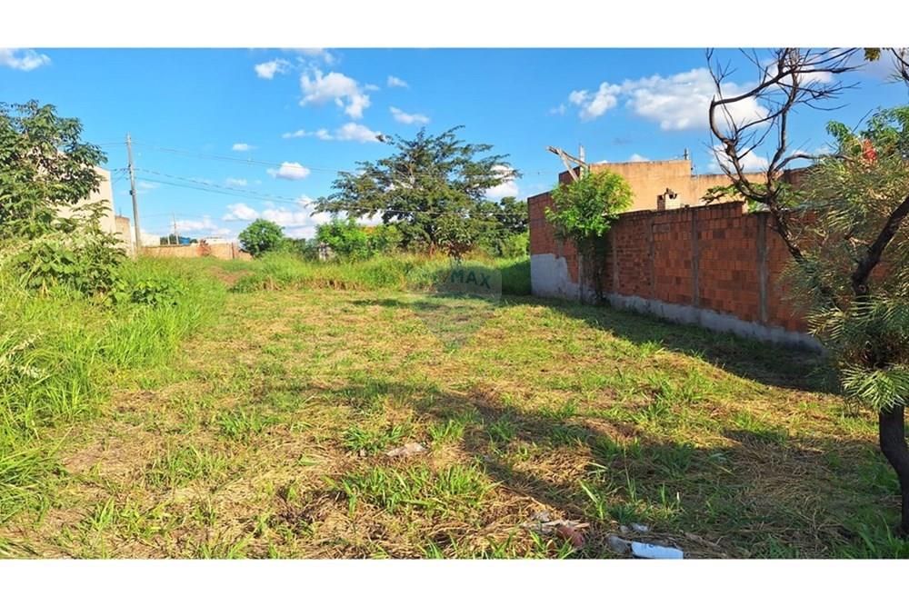 Terreno - Venda - São José do Rio Preto , São Paulo - WhatsApp Image 2025-05-21 at 08.02.55.jpeg - 631321007-48