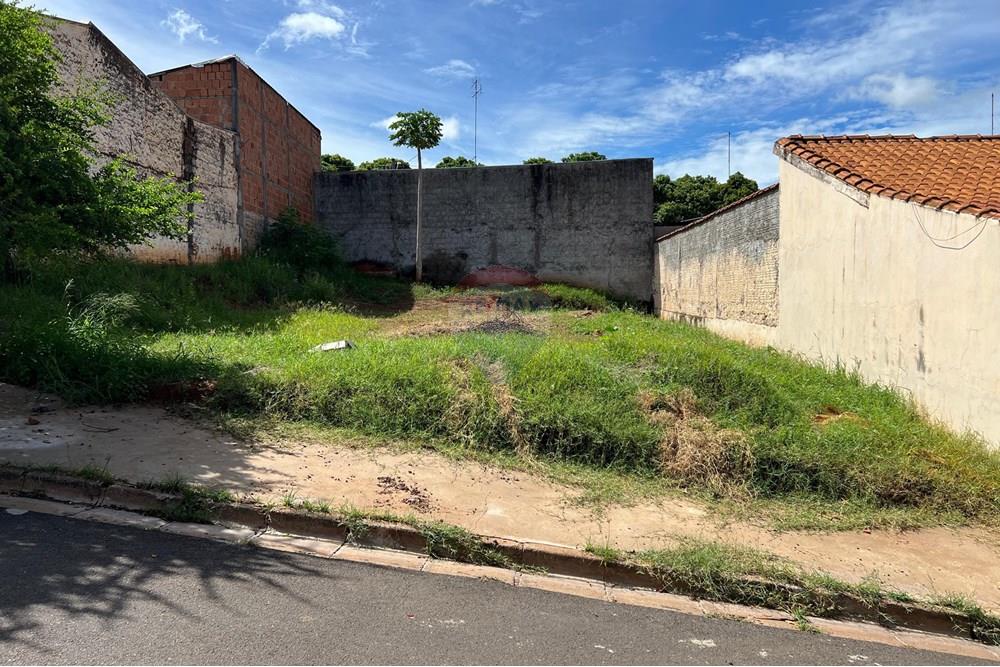 Terreno - Venda - Lins , São Paulo - WhatsApp Image 2025-01-18 at 09.58.49.jpeg - Quintal - 631011037-15