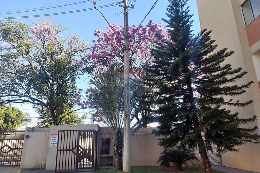 Apartamento - Alugar - Araçatuba , São Paulo - 001.jpg - 630541055-5