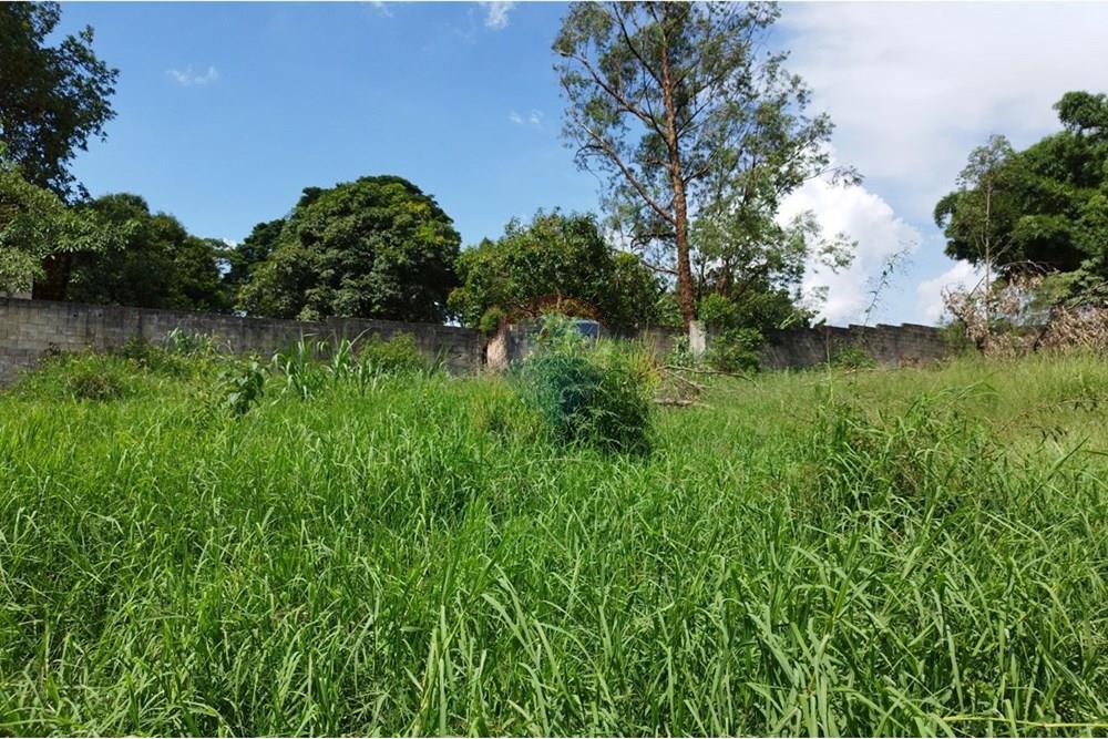 Chácara / Sítio / Fazenda - Venda - Cabreúva , São Paulo - WhatsApp Image 2025-01-07 at 15.46.59.jpeg - 630531012-40