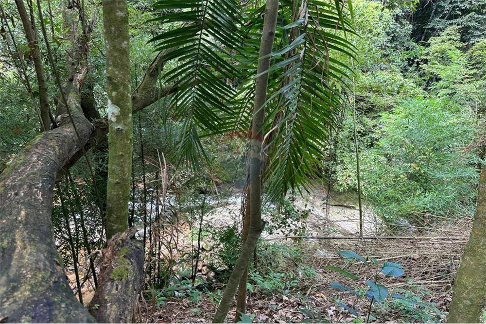 Terreno - Venda - Nova Friburgo , Rio de Janeiro - 49 - 630551016-143