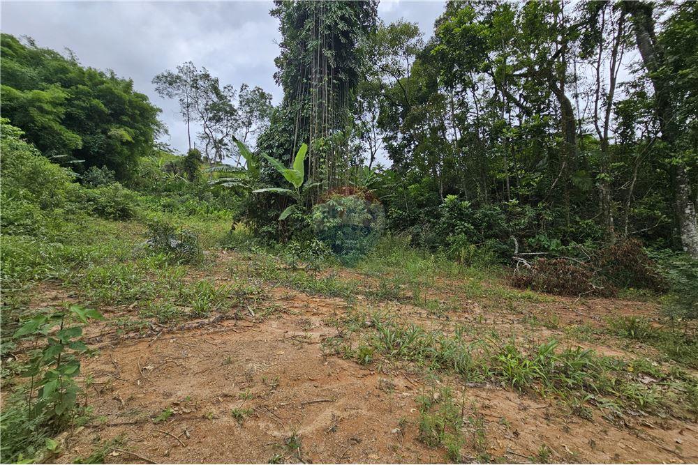 Terreno - Venda - Nova Friburgo , Rio de Janeiro - 26 - 630551016-143