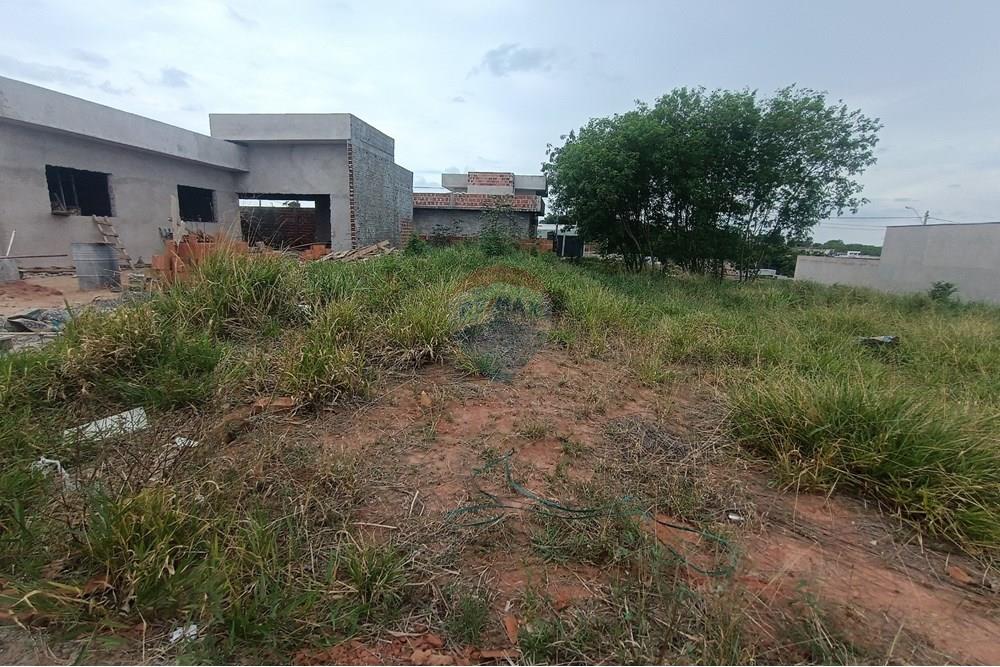 Terreno - Venda - Presidente Prudente , São Paulo - IMG_20251028_120202.jpg - 630861066-13