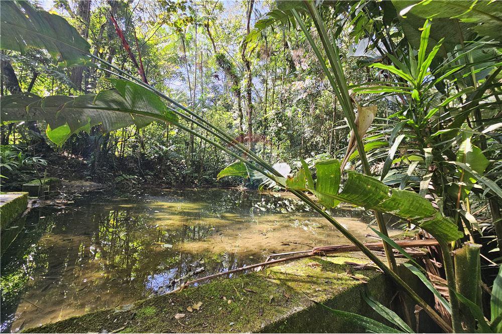 Chácara / Sítio / Fazenda - Venda - Nova Friburgo , Rio de Janeiro - 85 - 630551016-150