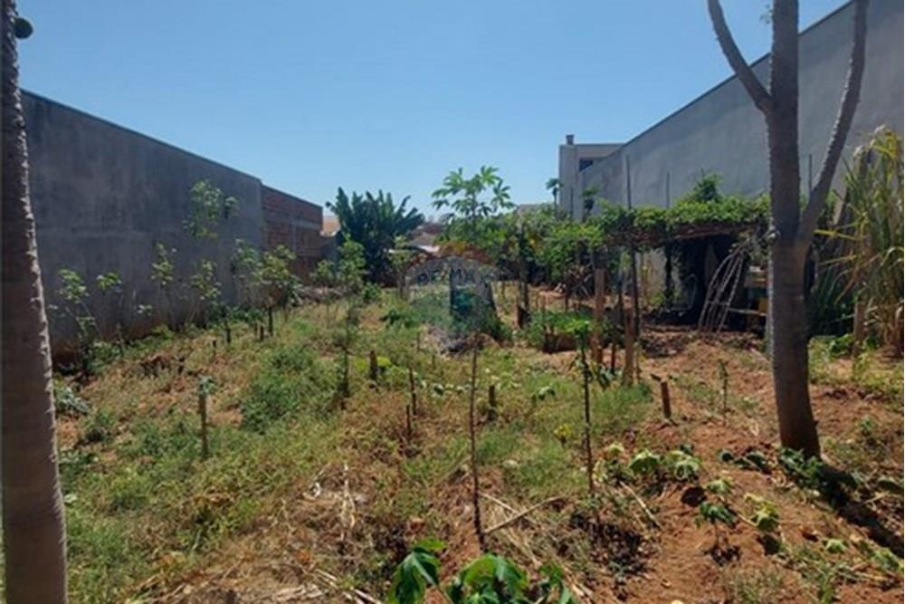 Terreno - Venda - Presidente Prudente , São Paulo - WhatsApp Image 2025-10-02 at 13.02.26 (2).jpeg - 630861066-4