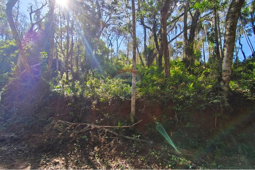 Terreno - Venda - Mairiporã , São Paulo - Terreno rafael 9.jpg - 631361069-8