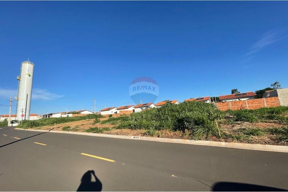 Terreno - Venda - Bady Bassitt , São Paulo - WhatsApp Image 2025-01-14 at 17.34.39 (4).jpeg - 631481002-92