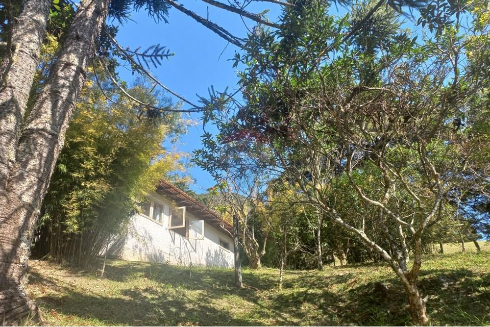 Chácara / Sítio / Fazenda - Venda - Nova Friburgo , Rio de Janeiro - WhatsApp Image 2025-07-21 at 11.11.07 (1).jpeg - 630551037-31