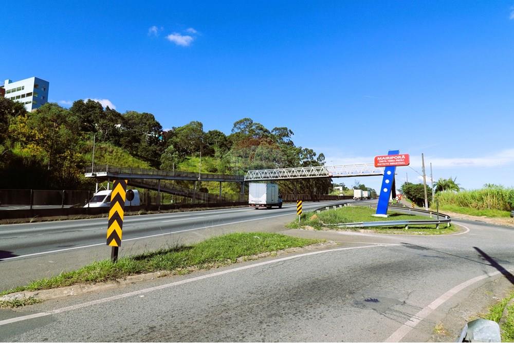 Industrial - Venda - Mairiporã , São Paulo - IMG_2459 (Personalizado).JPG - 631361005-134