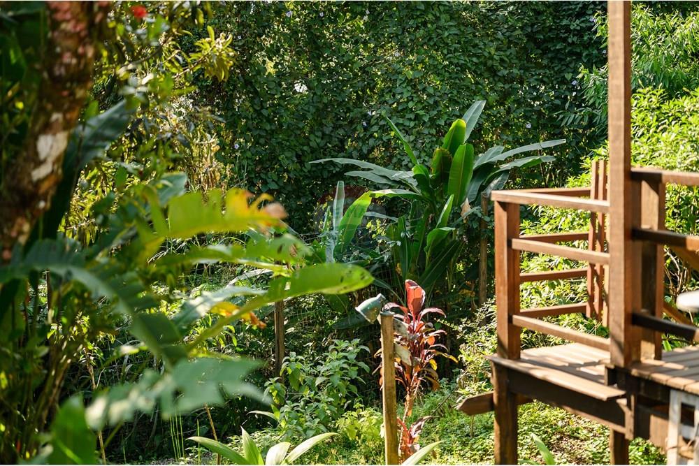 Casa de Condomínio - Venda - Ilhabela , São Paulo - REI-26.jpg - 630951003-51