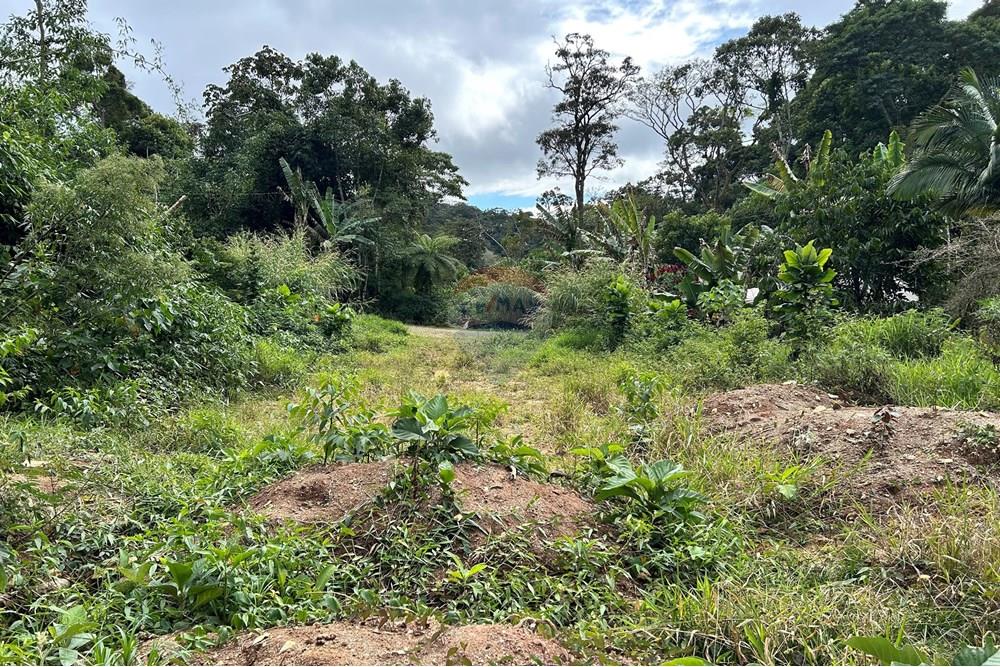 Terreno - Venda - Nova Friburgo , Rio de Janeiro - IMG_6130.jpg - 630551016-151