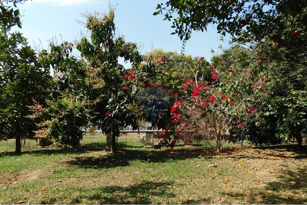 Chácara / Sítio / Fazenda - Venda - Mairinque , São Paulo - DSCN7654.JPG - 631601004-98