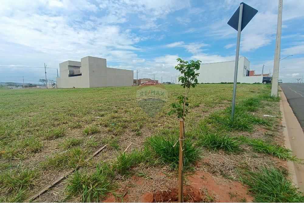 Terreno - Venda - Presidente Prudente , São Paulo - IMG_20251028_135359.jpg - 630861066-10
