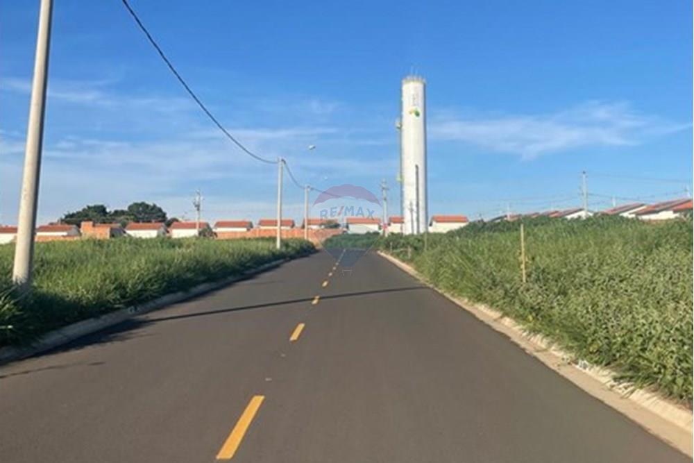 Terreno - Venda - Bady Bassitt , São Paulo - WhatsApp Image 2025-01-14 at 17.41.24 (6).jpeg - 631481002-90