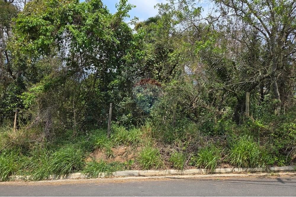 Terreno - Venda - Ilhabela , São Paulo - IMG-20251002-WA0017.jpg - 690881039-12