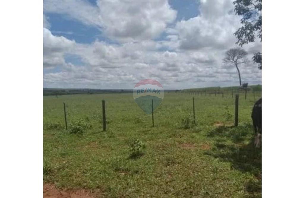 Chácara / Sítio / Fazenda - Venda - Junqueirópolis , São Paulo - WhatsApp Image 2024-10-26 at 10.20.02 (4).jpeg - 630541038-36