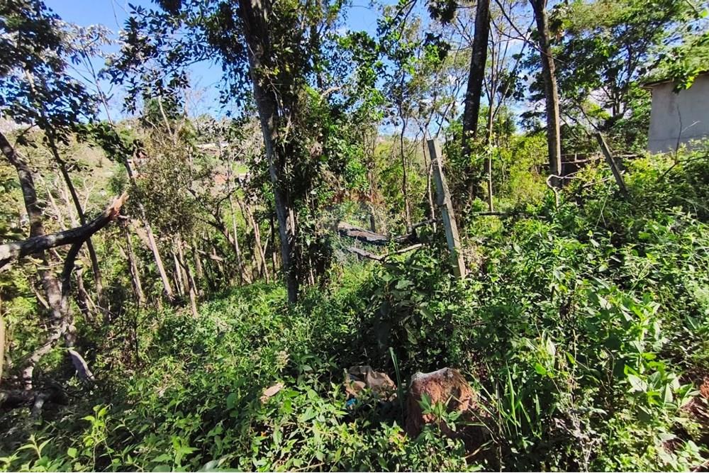 Terreno - Venda - Mairiporã , São Paulo - Terreno rafael 13.jpg - 631361069-8