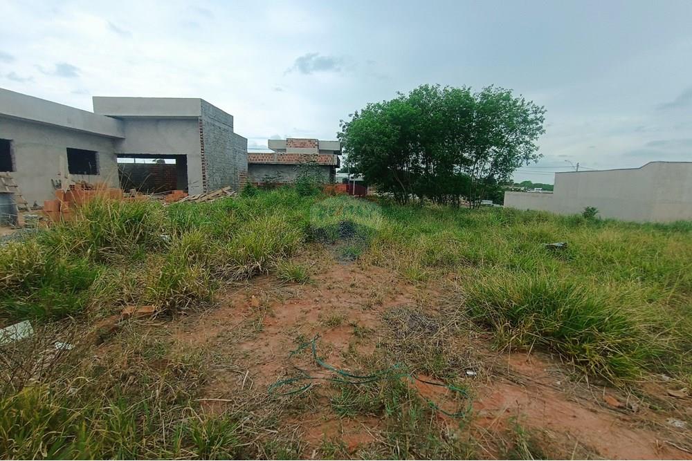 Terreno - Venda - Presidente Prudente , São Paulo - IMG_20251028_120200.jpg - 630861066-13