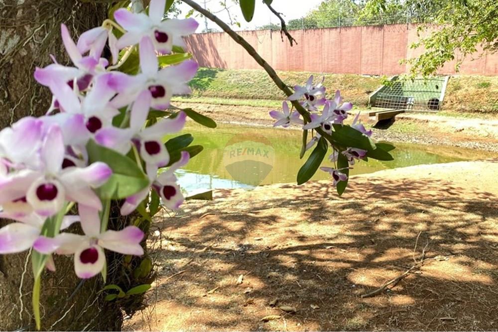 Casa - Alugar - Araçoiaba da Serra , São Paulo - WhatsApp Image 2025-09-29 at 19.42.42.jpeg - 631651005-35