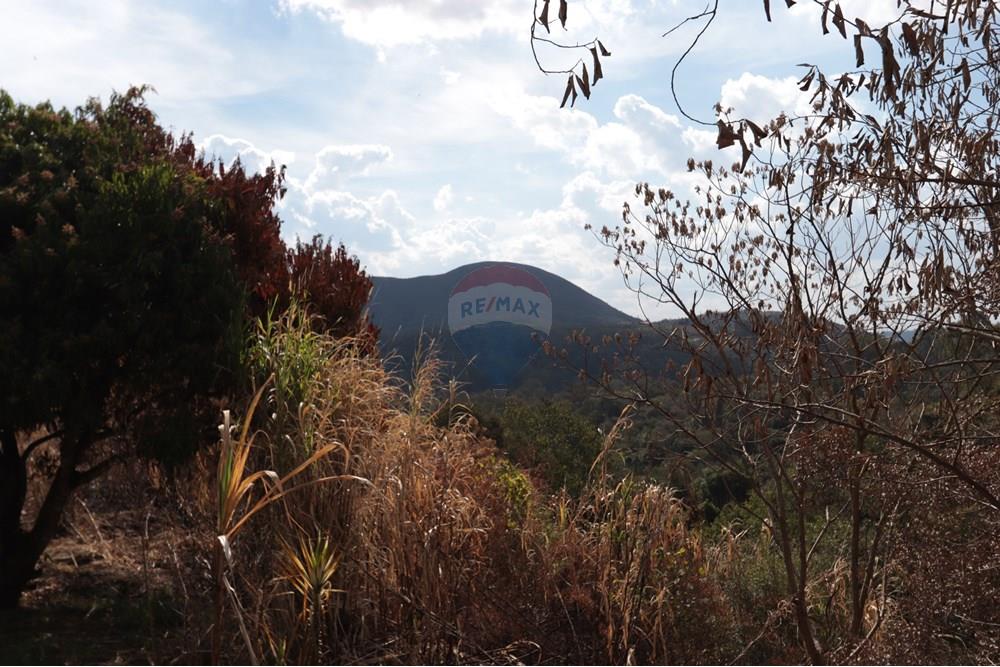 Terreno - Venda - São Roque , São Paulo - IMG_4770.JPG - 631601017-17