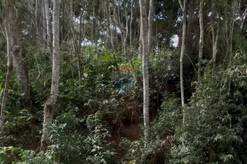 Terreno - Venda - Nova Friburgo , Rio de Janeiro - WhatsApp Image 2025-06-17 at 20.35.10.jpeg - 630551115-1