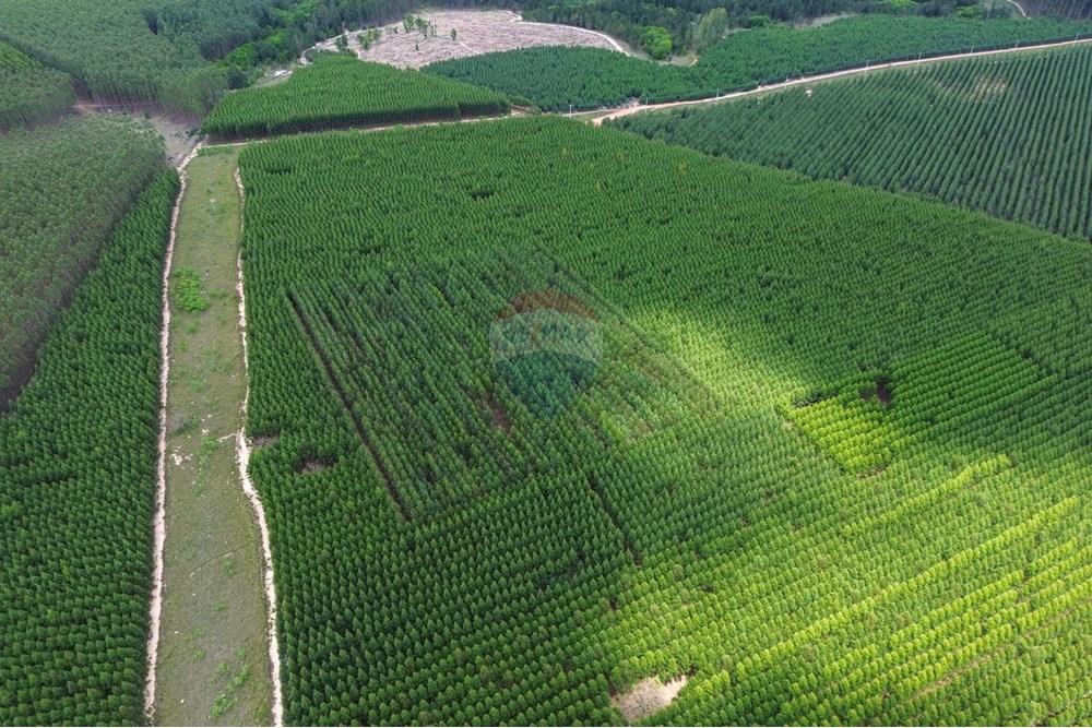 Chácara / Sítio / Fazenda - Venda - Bofete , São Paulo - 7-DJI_0271 (1).jpg - 630481027-104