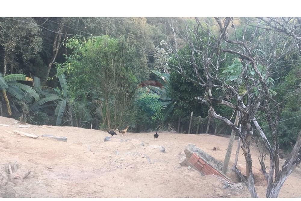 Chácara / Sítio / Fazenda - Venda - Arujá , São Paulo - foto13.jpg - 631491003-31