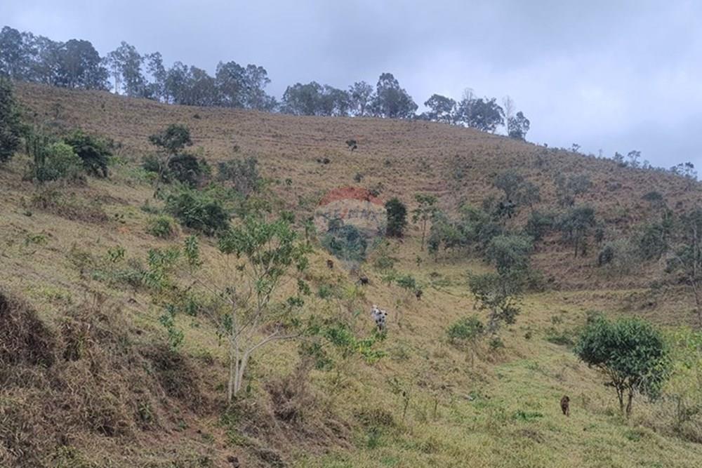 Fazenda - Venda - Teresópolis , Rio de Janeiro - 20250702_154609.jpg - 630191078-25