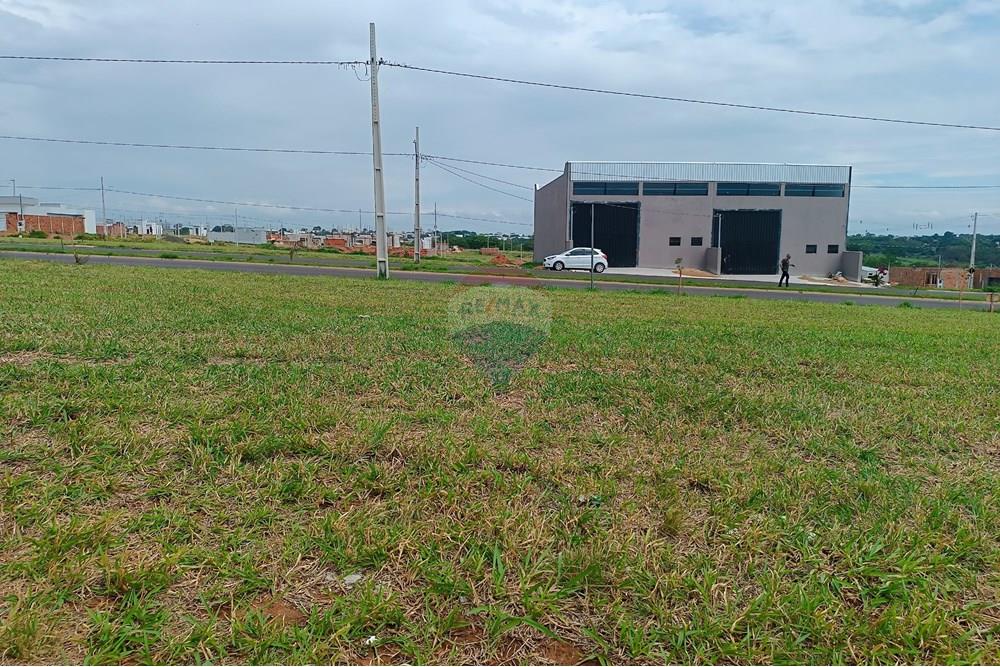 Terreno - Venda - Presidente Prudente , São Paulo - IMG_20251028_135458.jpg - 630861066-10