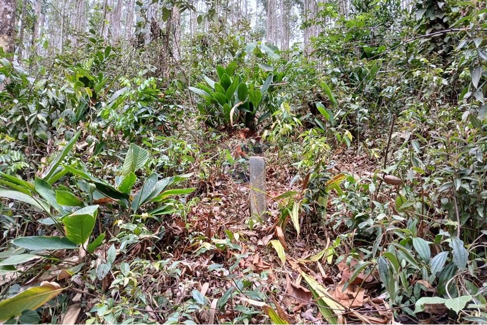 Terreno - Venda - Mogi das Cruzes , São Paulo - WhatsApp Image 2024-11-11 at 11.58.50 (3).jpeg - 631541001-10