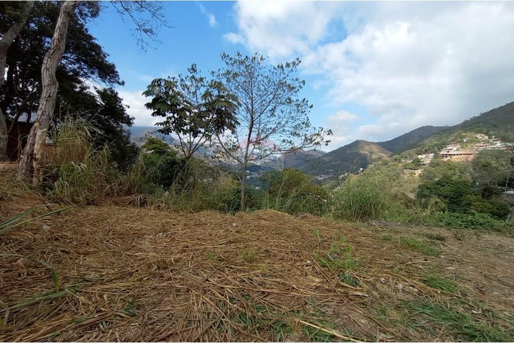 Terreno - Venda - Petrópolis , Rio de Janeiro - WhatsApp Image 2025-07-27 at 10.04.02 (3).jpeg - 630131052-16