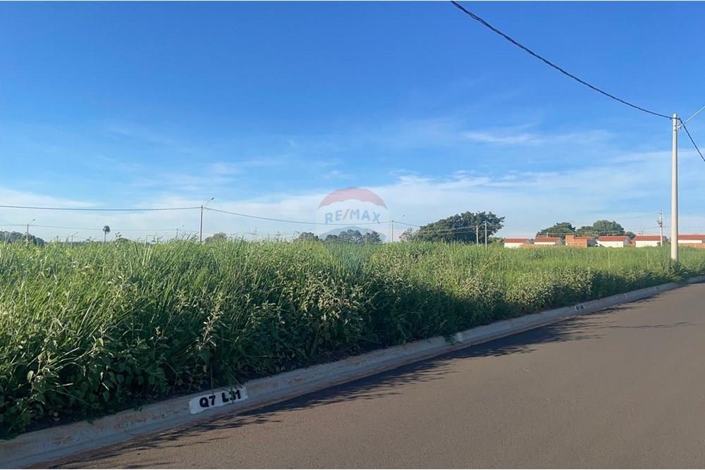 Terreno - Venda - Bady Bassitt , São Paulo - WhatsApp Image 2025-01-14 at 17.41.24 (4).jpeg - 631481002-90