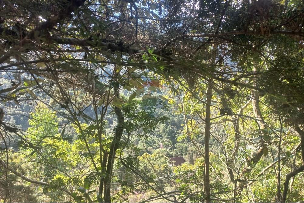 Chácara / Sítio / Fazenda - Venda - Nova Friburgo , Rio de Janeiro - a93f8c0e-9110-4a1e-92e6-56e6dc81f282.jpg - 630551037-31