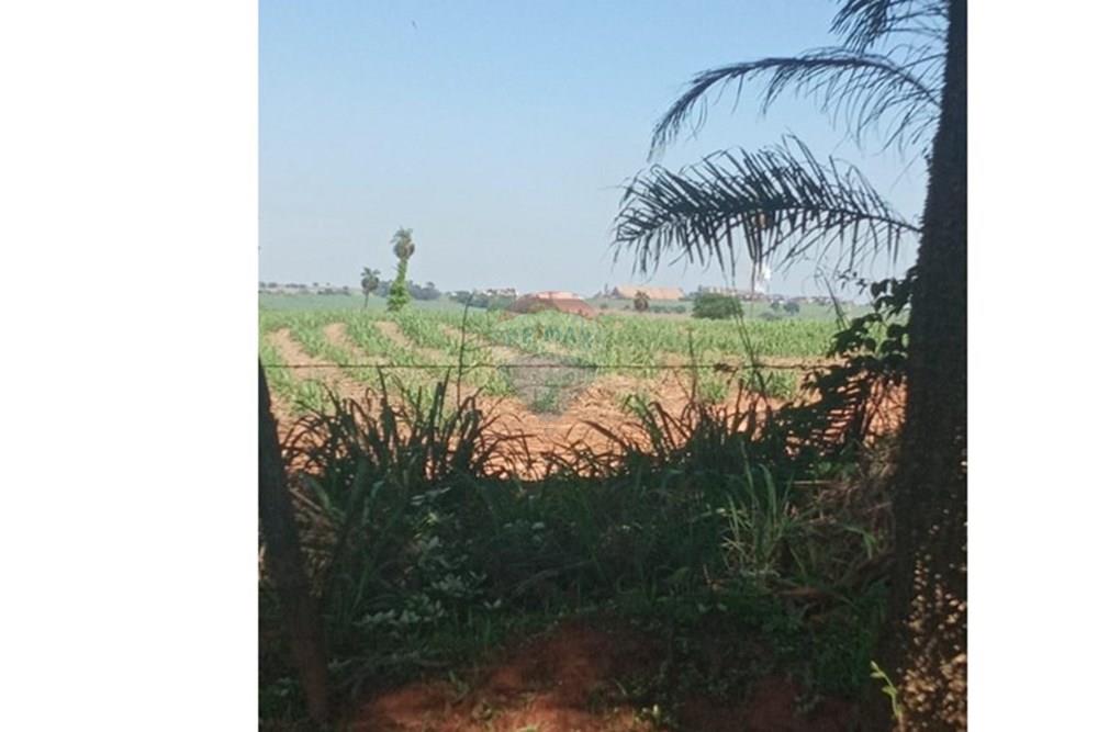 Chácara / Sítio / Fazenda - Venda - Valentim Gentil , São Paulo - WhatsApp Image 2024-11-17 at 09.37.10 (3).jpeg - 630541038-19