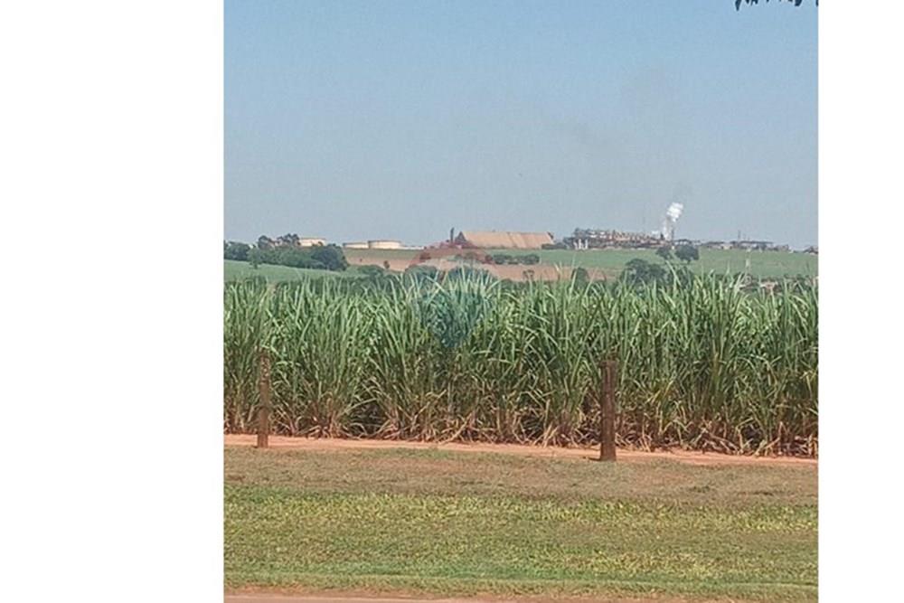 Chácara / Sítio / Fazenda - Venda - Valentim Gentil , São Paulo - WhatsApp Image 2024-11-17 at 09.37.10 (2).jpeg - 630541038-19