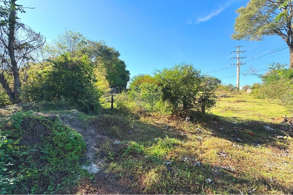 Chácara / Sítio / Fazenda - Venda - Araçatuba , São Paulo - 20250604_123959854_iOS.jpg - 630541038-46