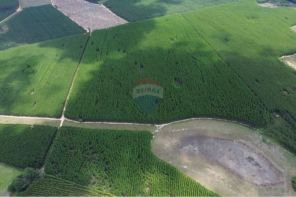 Chácara / Sítio / Fazenda - Venda - Bofete , São Paulo - 4-DJI_0265.jpg - 630481027-104