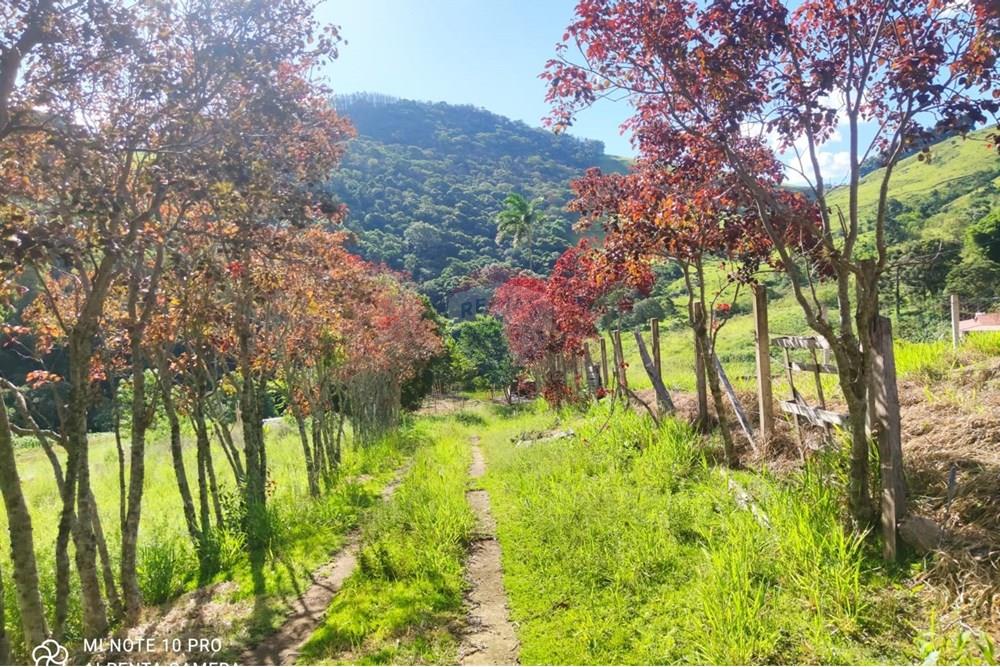 Chácara / Sítio / Fazenda - Venda - Toledo , Minas Gerais - WhatsApp Image 2025-02-28 at 11.27.51 (1).jpeg - 630251077-54