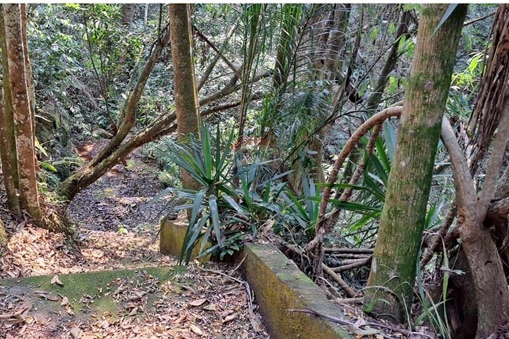 Chácara / Sítio / Fazenda - Venda - Araçariguama , São Paulo - IMG-20240913-WA0043.jpg - 631601010-7