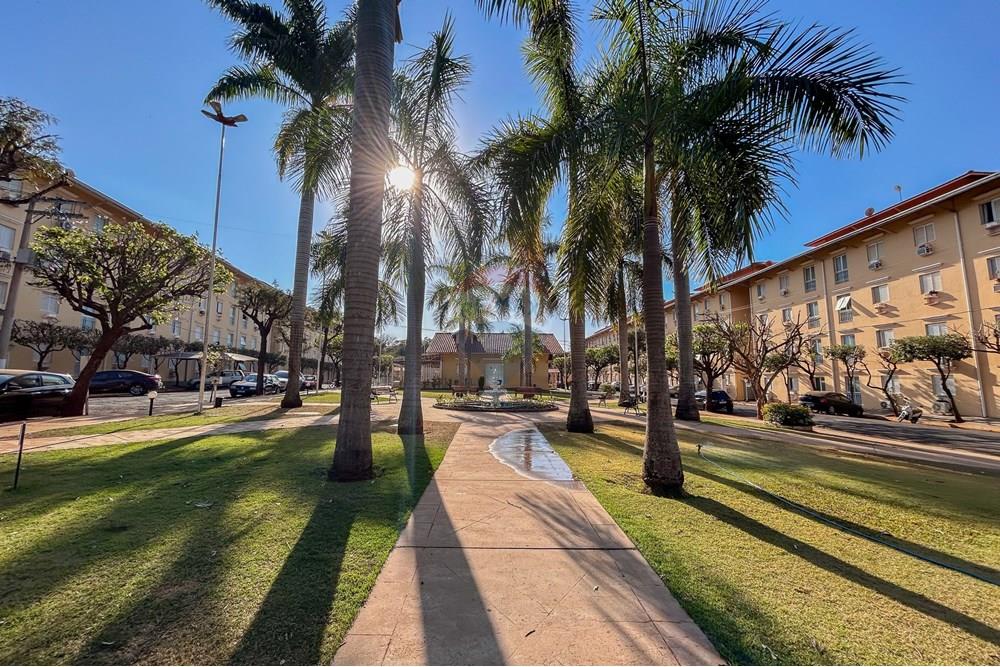 Apartamento - Alugar - São José do Rio Preto , São Paulo - IMG_0031.jpg - 631321043-22