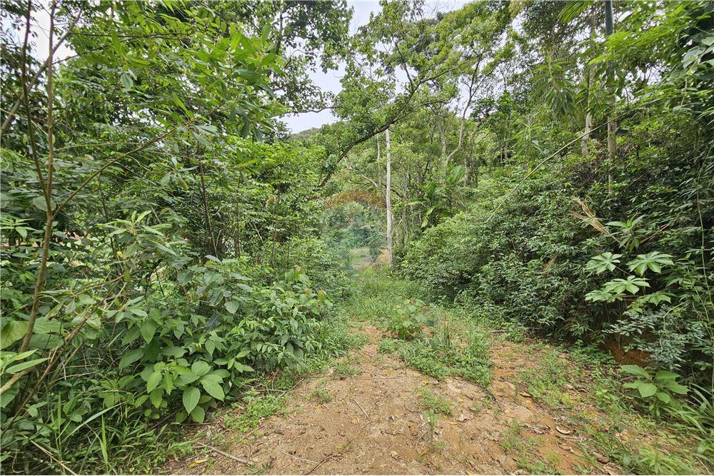 Terreno - Venda - Nova Friburgo , Rio de Janeiro - 24 - 630551016-143