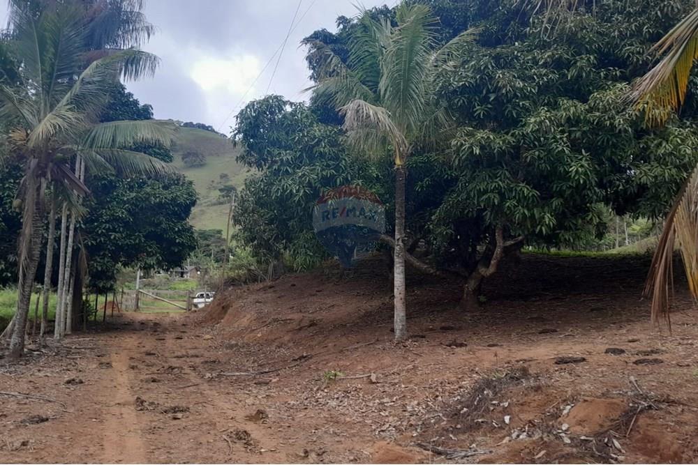 Agro - Venda - Santa Maria Madalena , Rio de Janeiro - WhatsApp Image 2025-05-29 at 13.32.50.jpeg - 630171007-50
