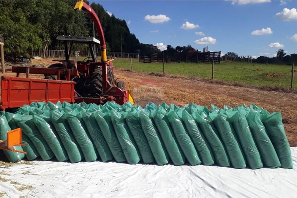 Agro - Venda - Regente Feijó , São Paulo - Imagem do WhatsApp de 2025-04-22 à(s) 18.56.35_bcfc8304.jpg - 630091016-183