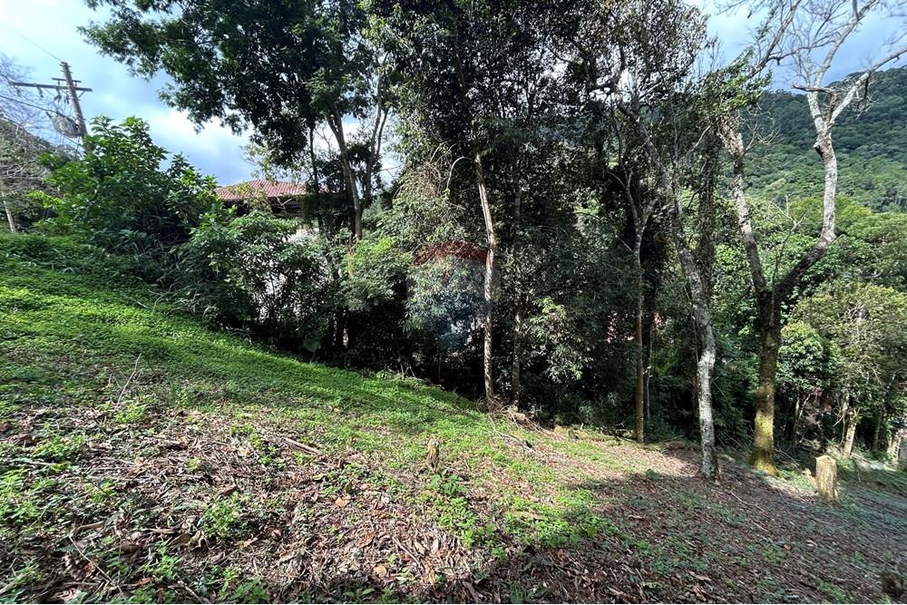 Terreno - Venda - Nova Friburgo , Rio de Janeiro - IMG_0239.JPG - 630551085-21