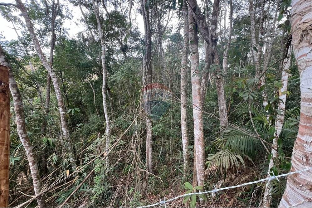 Terreno - Venda - Teresópolis , Rio de Janeiro - IMG-20250715-WA0009.jpg - 630191078-35