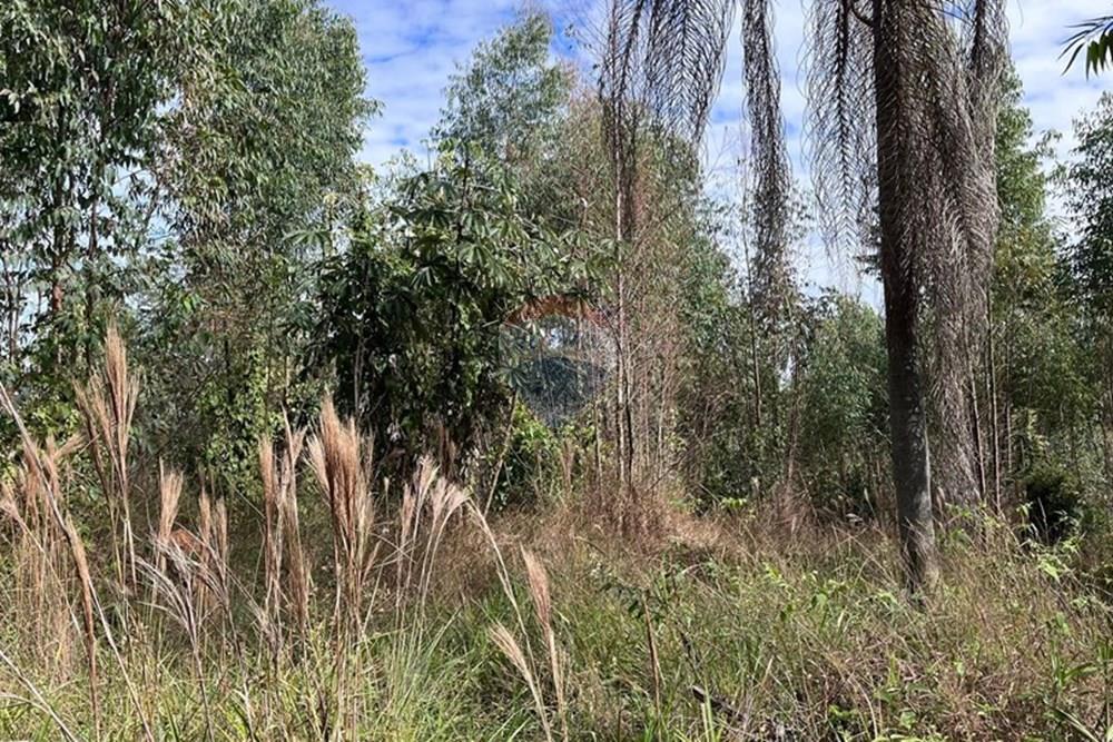 Terreno - Venda - Cabreúva , São Paulo - foto 11.jpg - 630531013-11